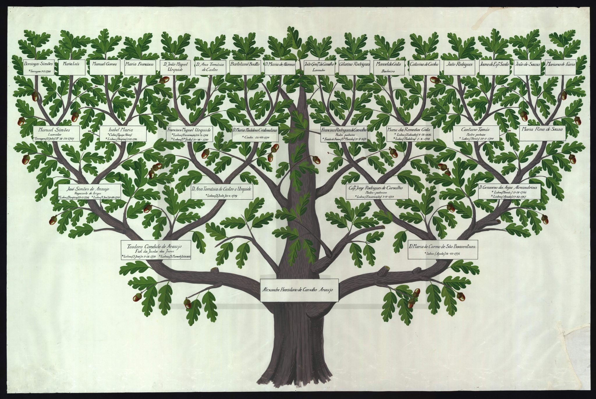 Genealogia Arquivo Nacional Torre do Tombo